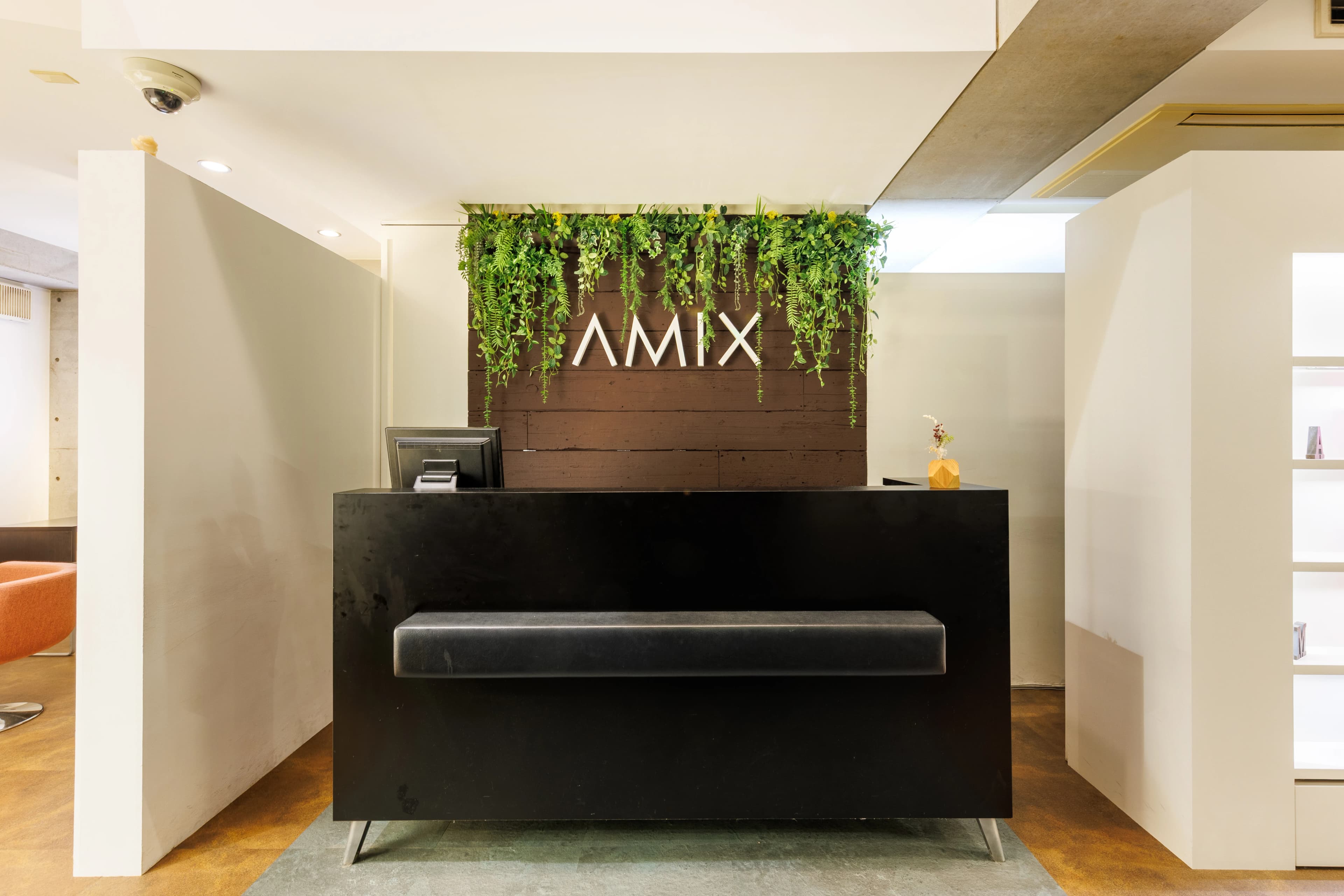 AMIX の歴史